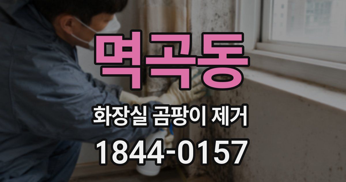 멱곡동 화장실 곰팡이 제거