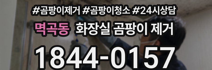 멱곡동 화장실 곰팡이 제거