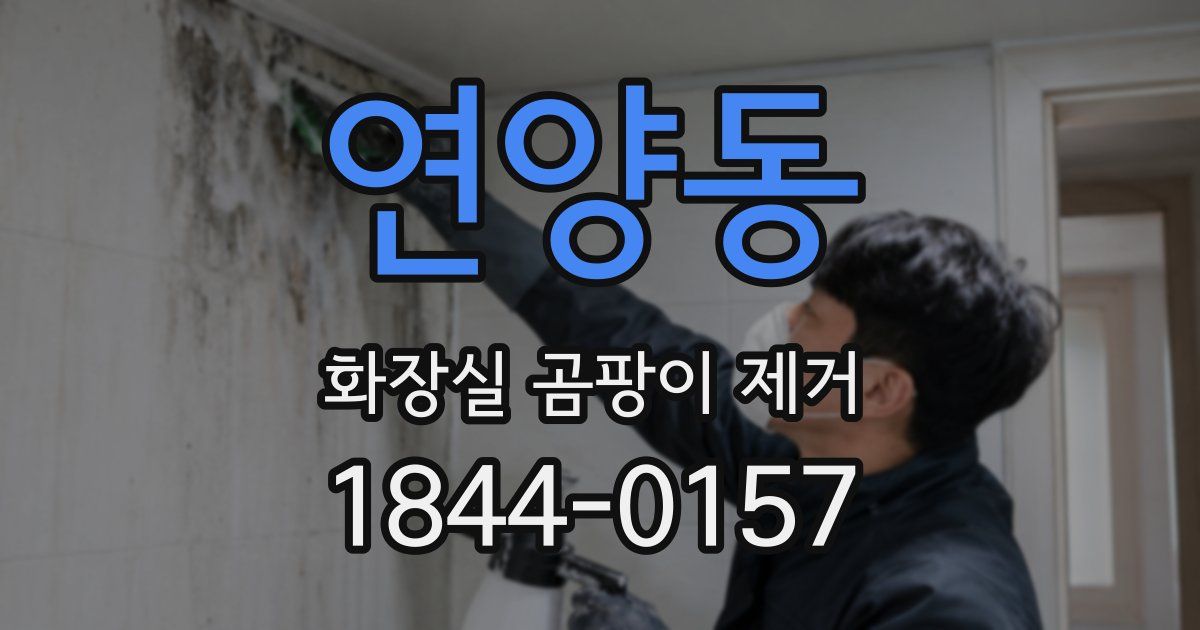 연양동 화장실 곰팡이 제거