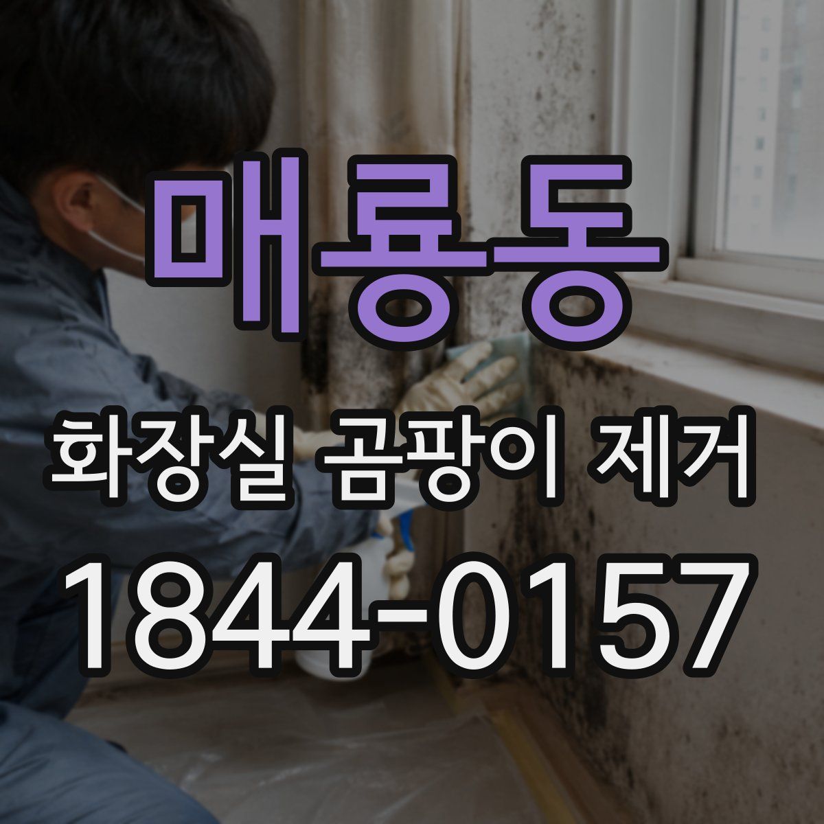 매룡동 화장실 곰팡이 제거