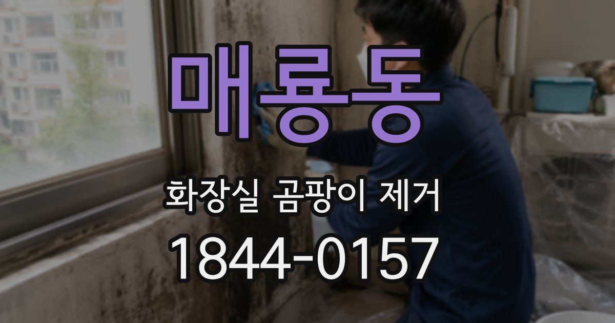 매룡동 화장실 곰팡이 제거