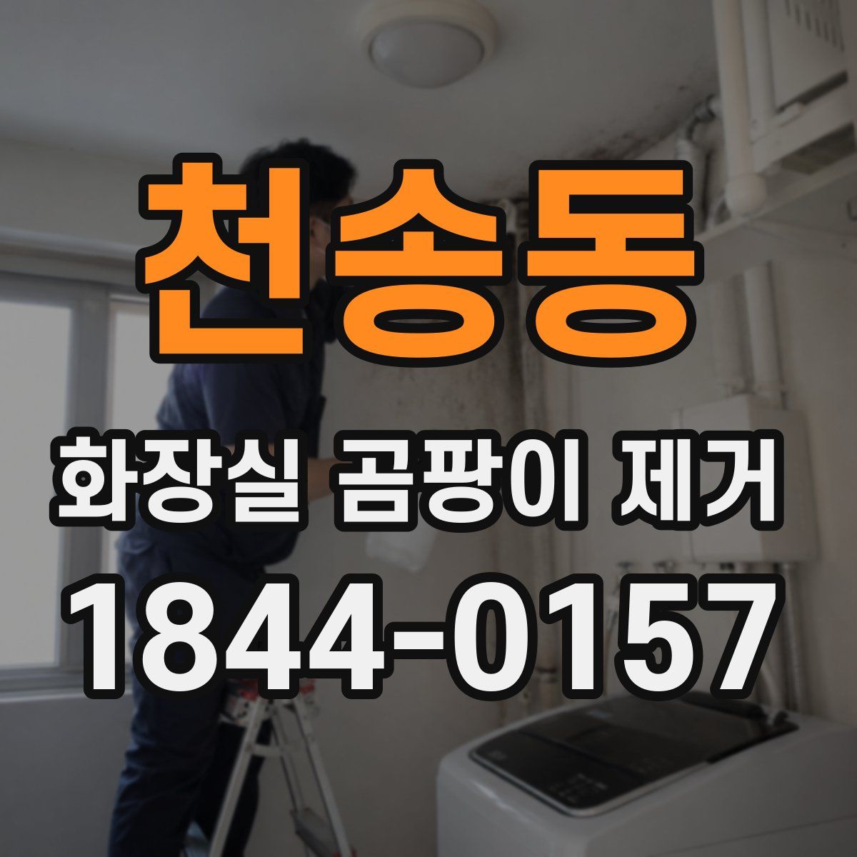 천송동 화장실 곰팡이 제거
