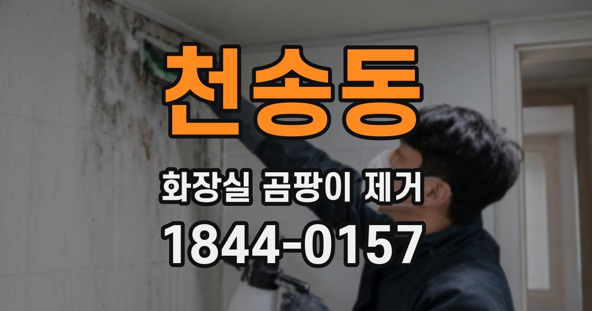 천송동 화장실 곰팡이 제거