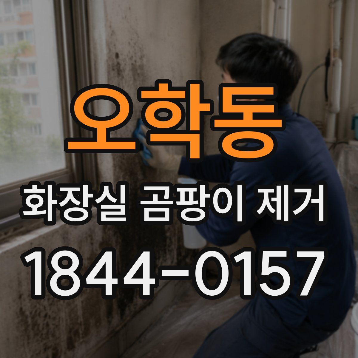 오학동 화장실 곰팡이 제거