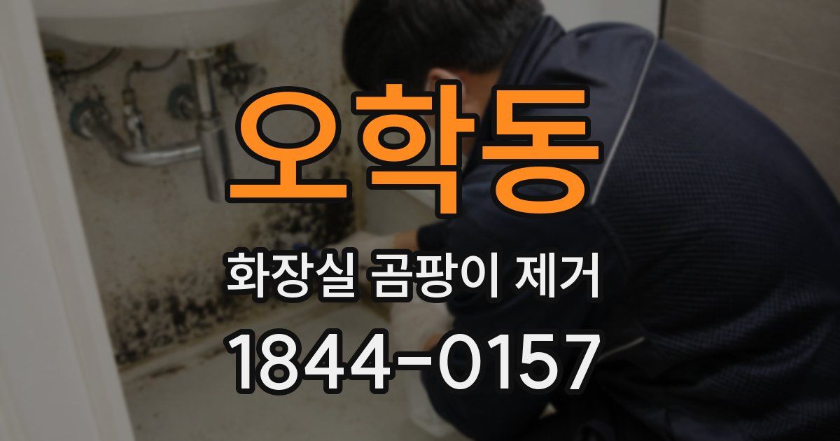 오학동 화장실 곰팡이 제거