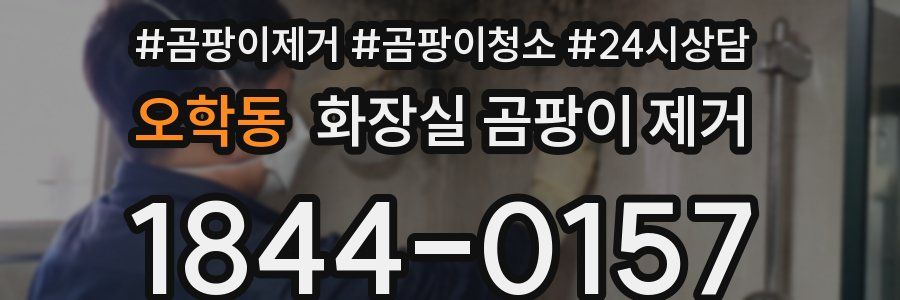오학동 화장실 곰팡이 제거