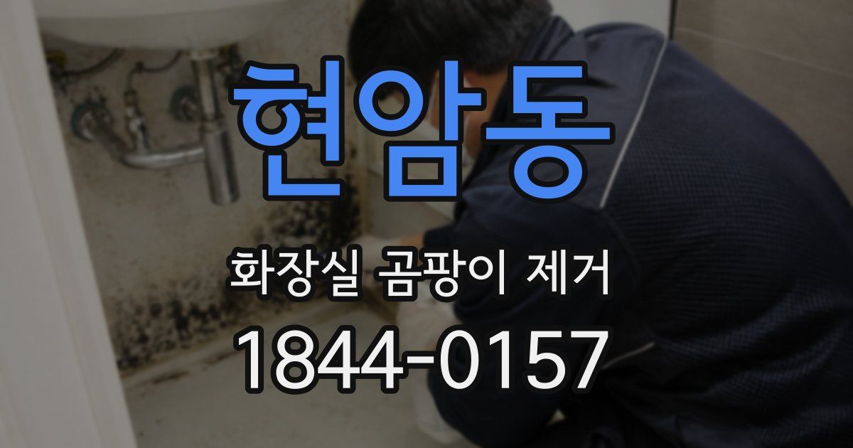 현암동 화장실 곰팡이 제거