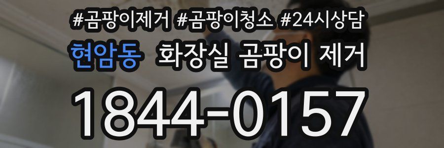 현암동 화장실 곰팡이 제거