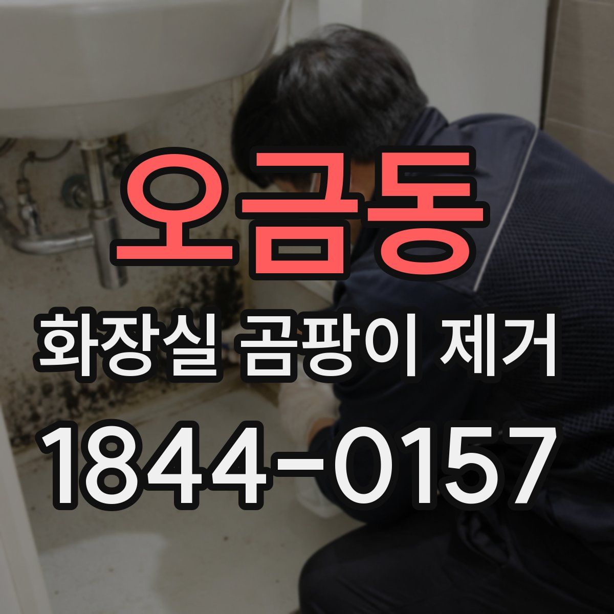 오금동 화장실 곰팡이 제거