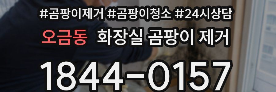 오금동 화장실 곰팡이 제거