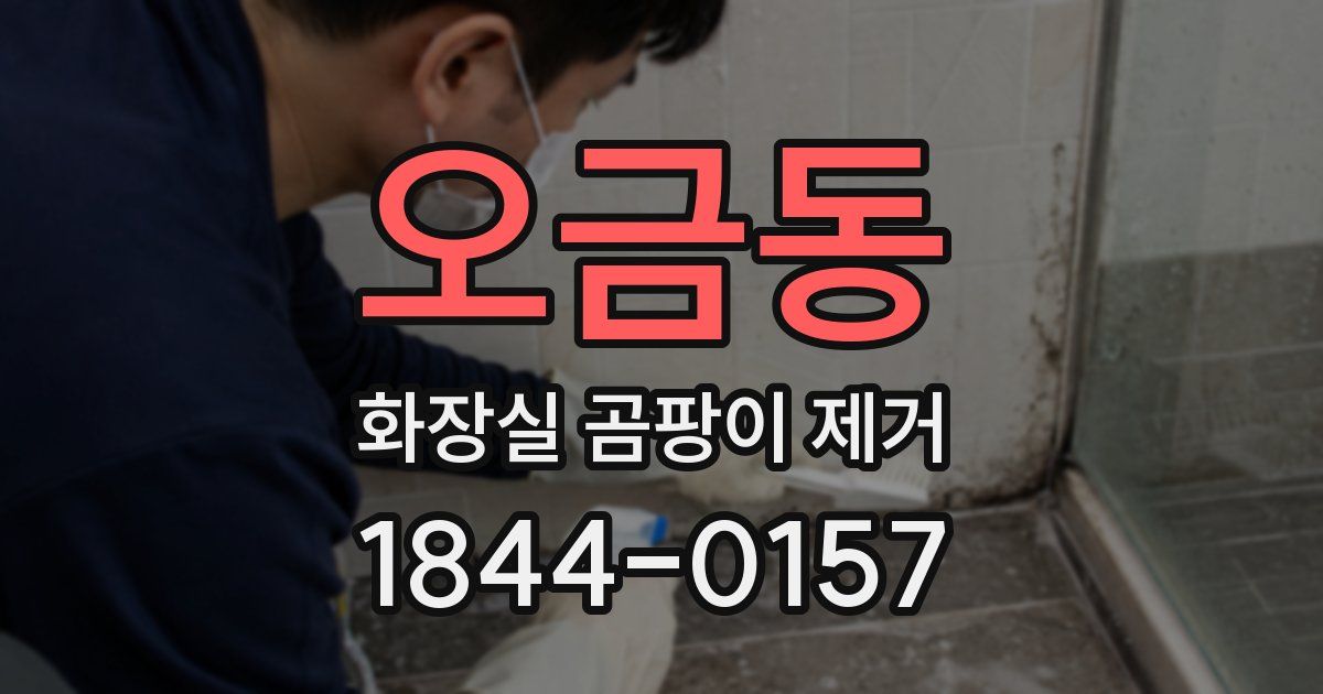 오금동 화장실 곰팡이 제거