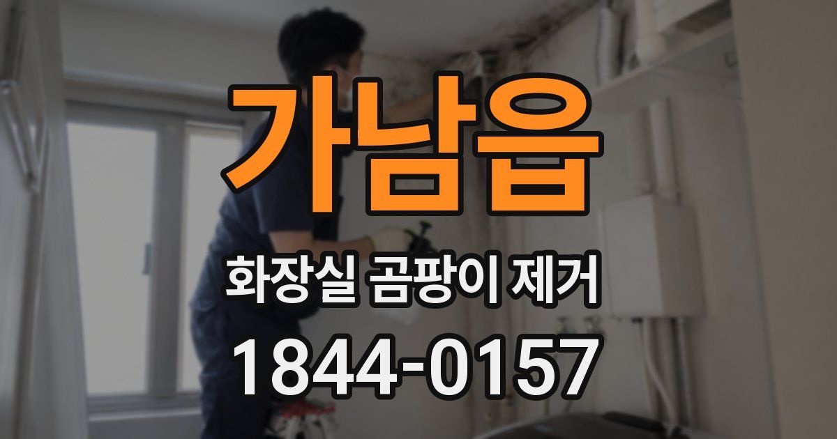 가남읍 화장실 곰팡이 제거
