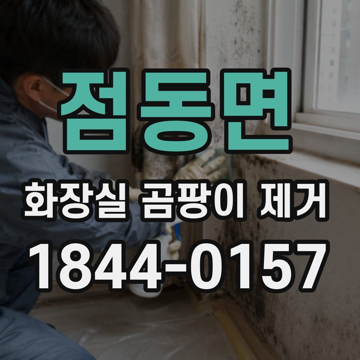 점동면 화장실 곰팡이 제거