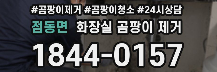 점동면 화장실 곰팡이 제거