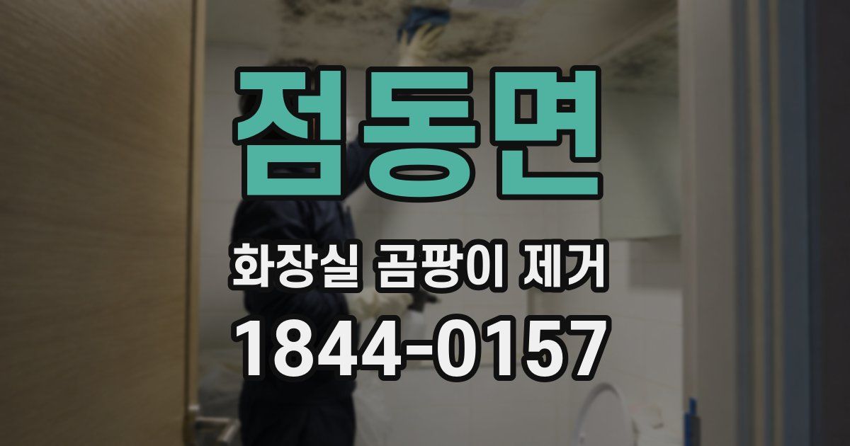 점동면 화장실 곰팡이 제거