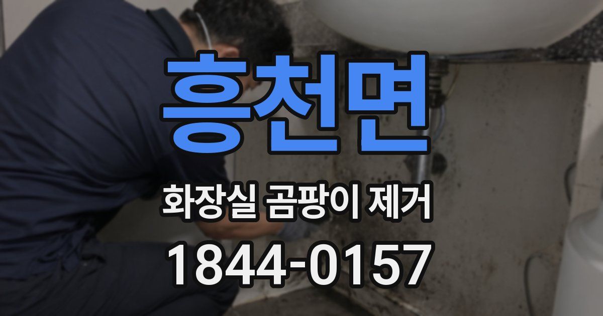 흥천면 화장실 곰팡이 제거