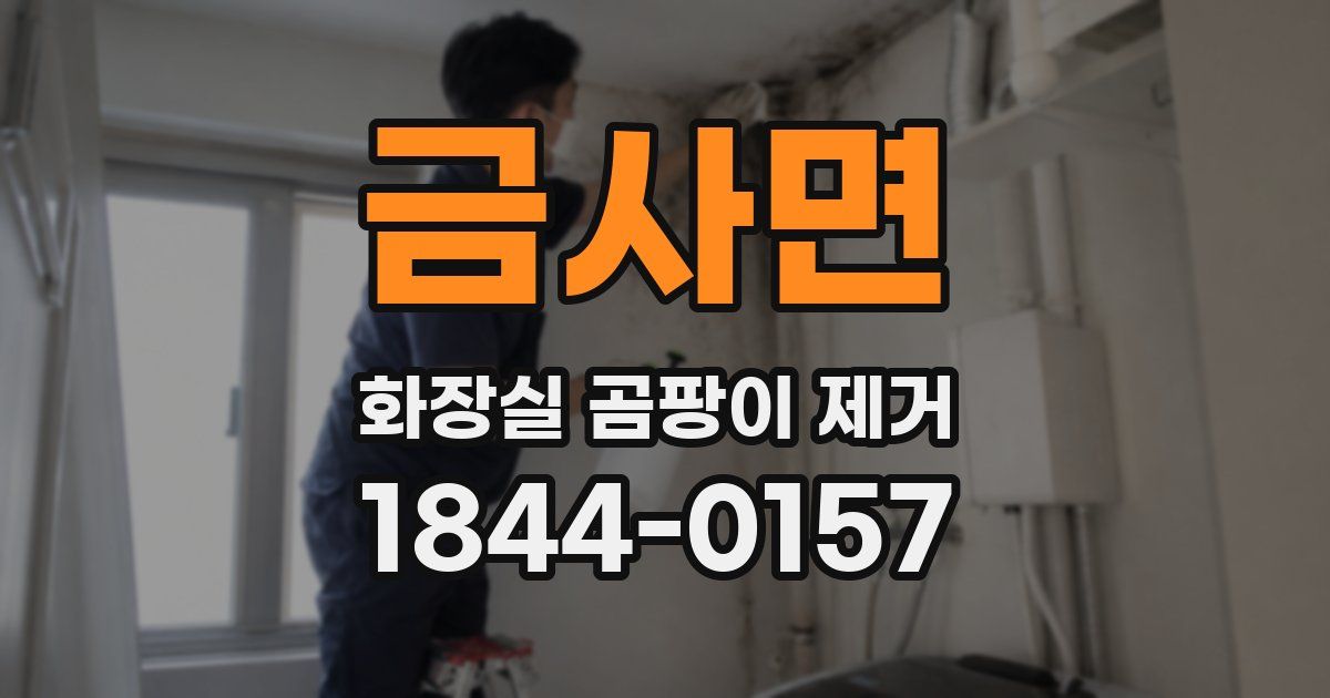 금사면 화장실 곰팡이 제거