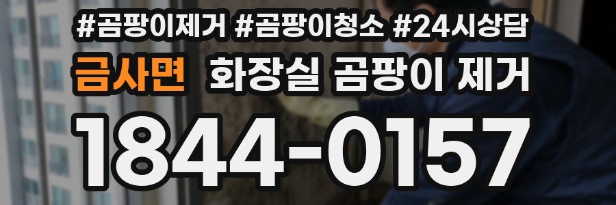 금사면 화장실 곰팡이 제거