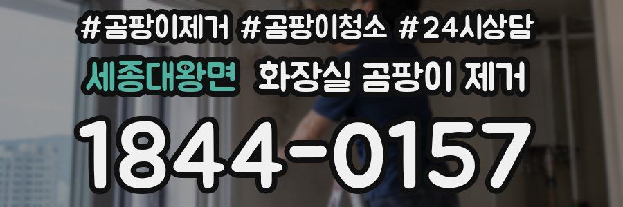 세종대왕면 화장실 곰팡이 제거