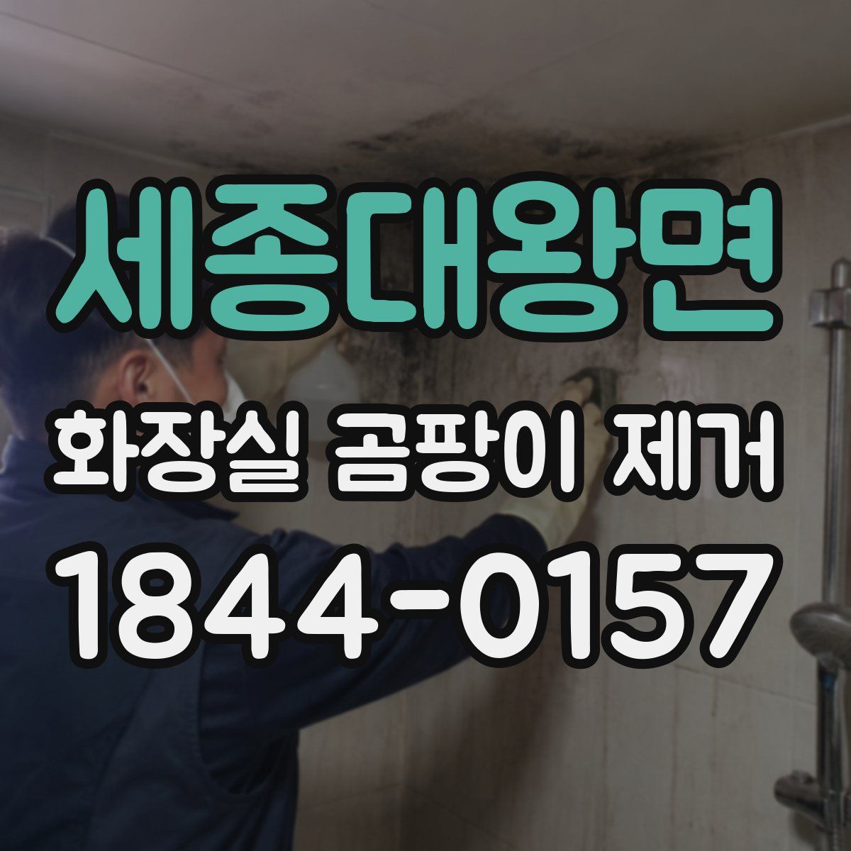 세종대왕면 화장실 곰팡이 제거
