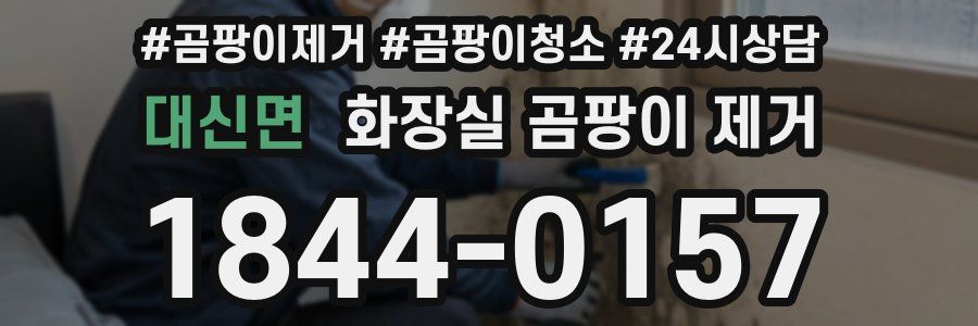 대신면 화장실 곰팡이 제거