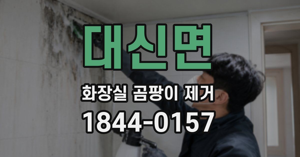 대신면 화장실 곰팡이 제거