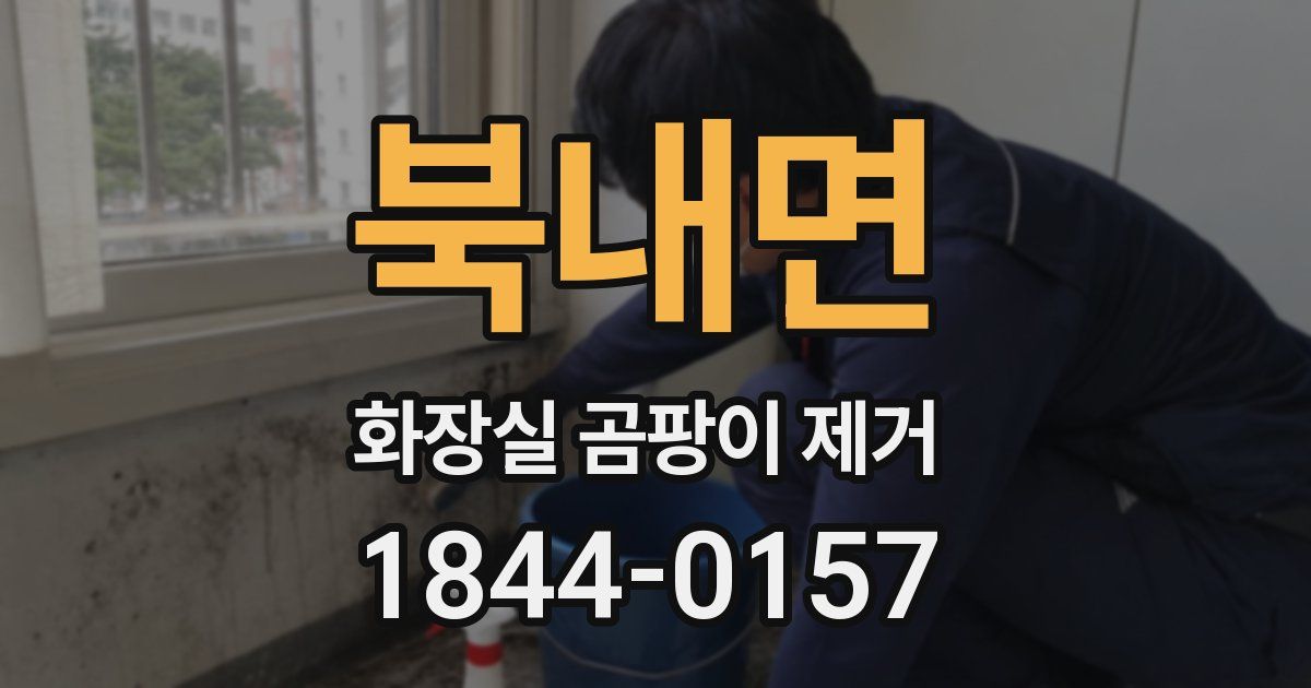북내면 화장실 곰팡이 제거