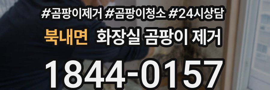 북내면 화장실 곰팡이 제거