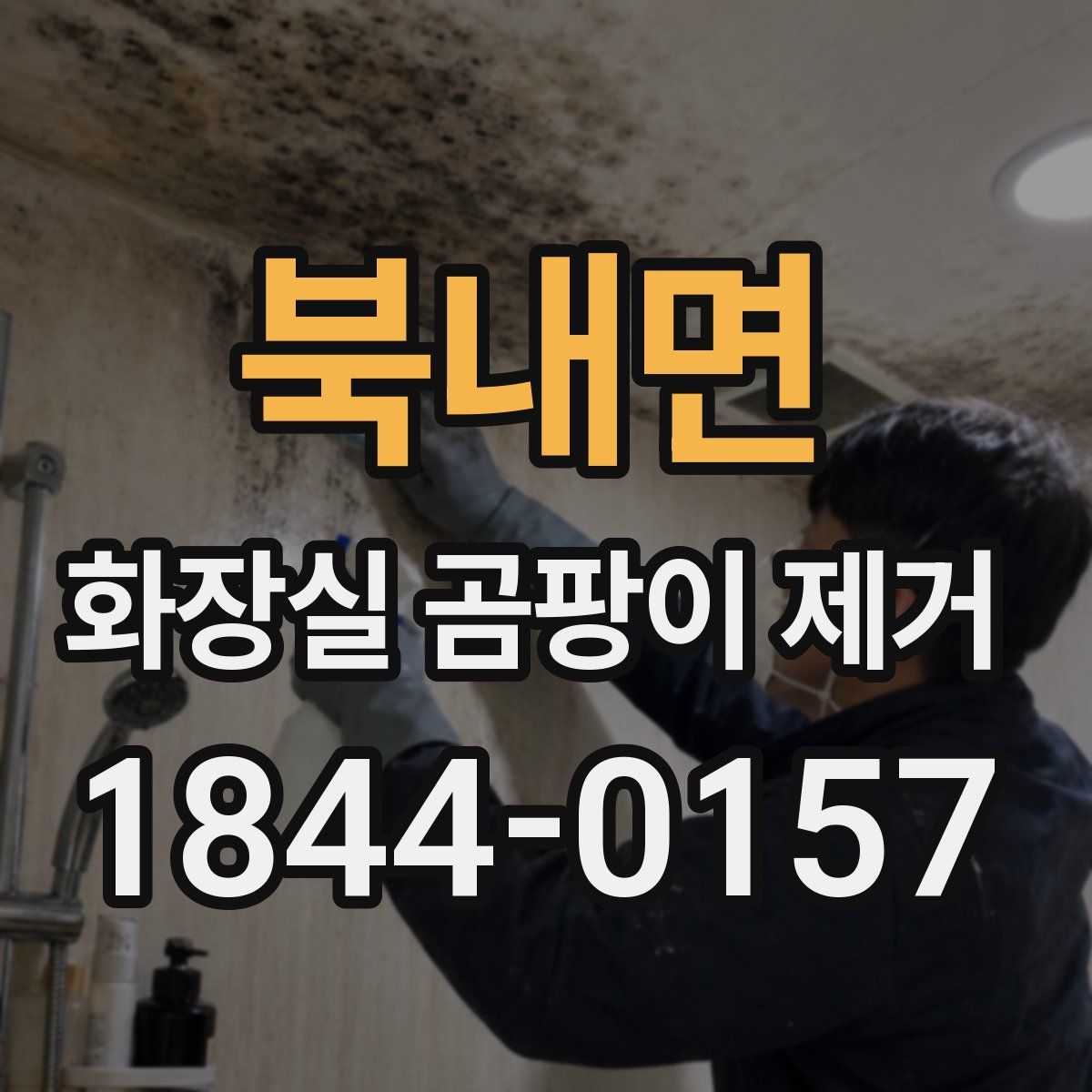 북내면 화장실 곰팡이 제거