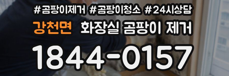 강천면 화장실 곰팡이 제거