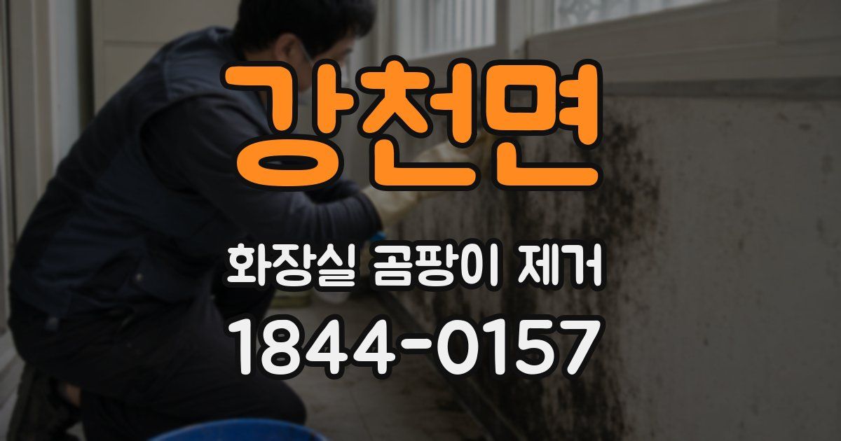 강천면 화장실 곰팡이 제거