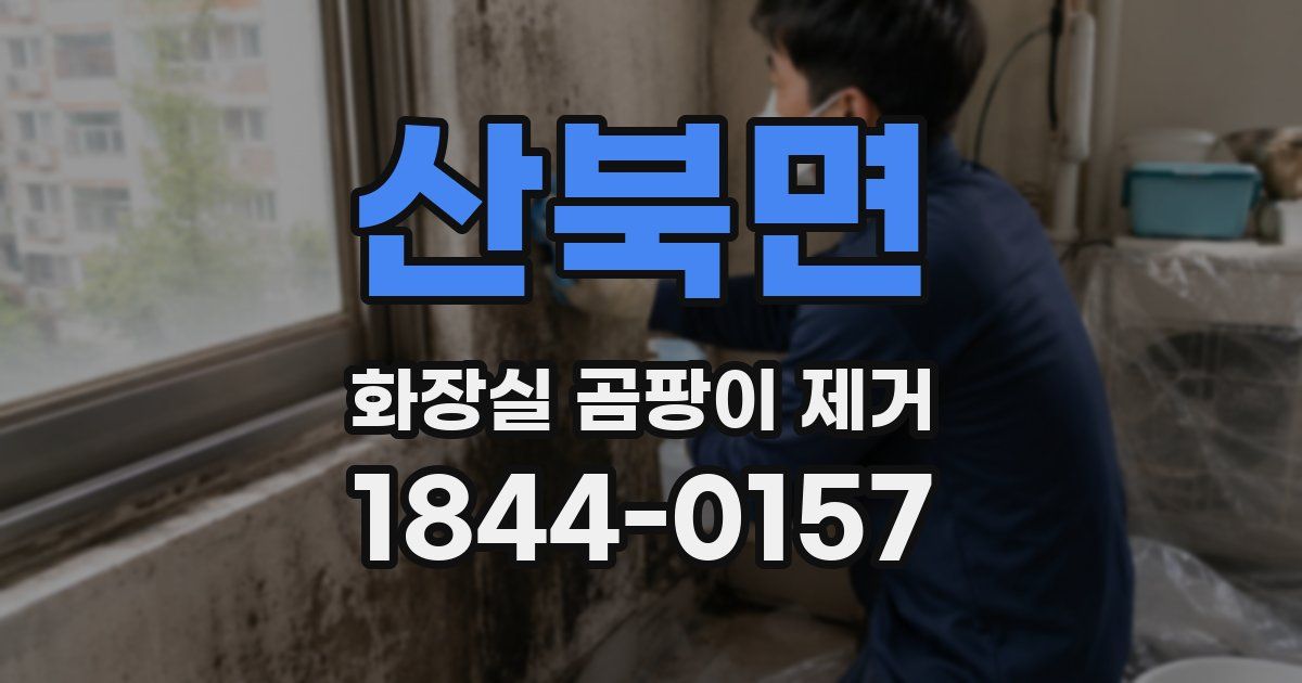 산북면 화장실 곰팡이 제거
