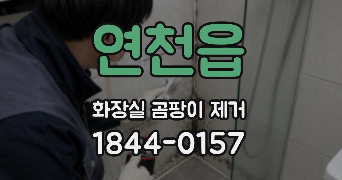 연천읍 화장실 곰팡이 제거