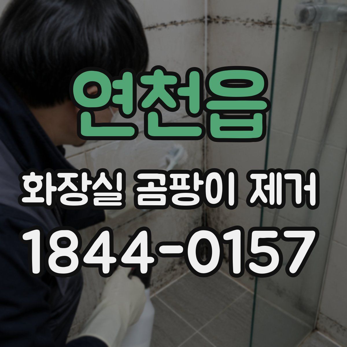 연천읍 화장실 곰팡이 제거