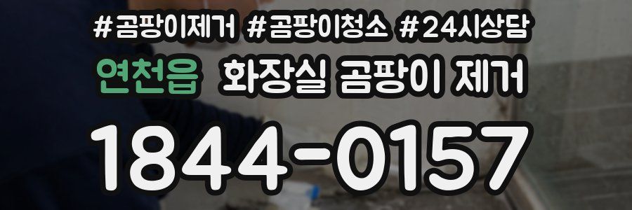 연천읍 화장실 곰팡이 제거