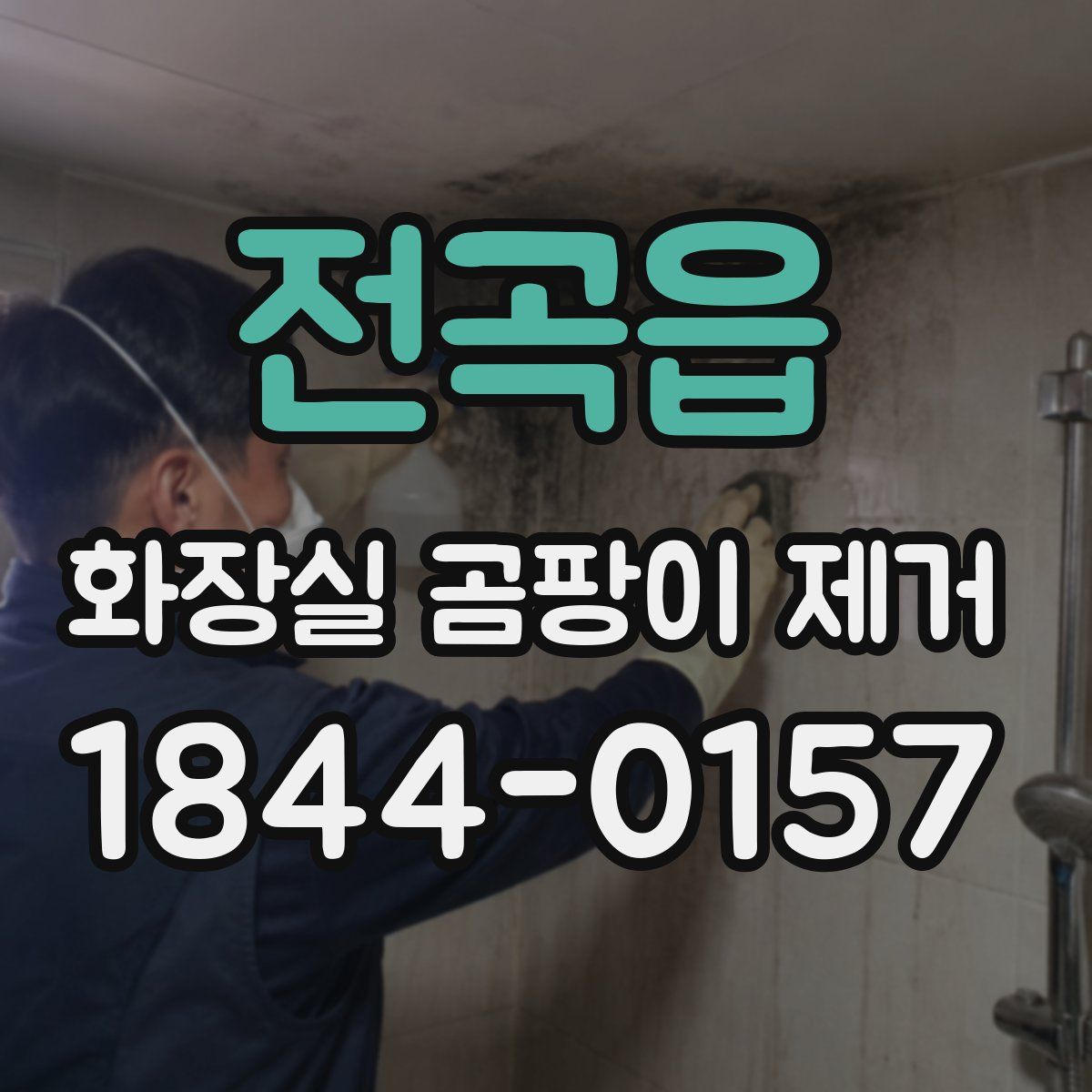 전곡읍 화장실 곰팡이 제거