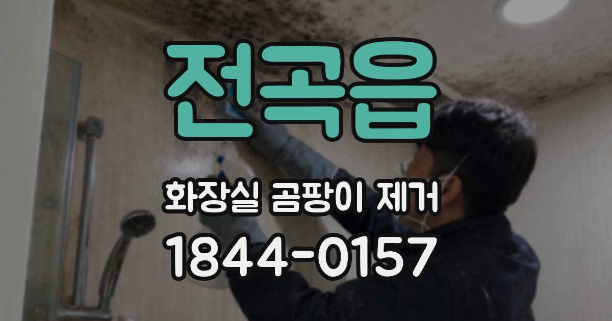 전곡읍 화장실 곰팡이 제거