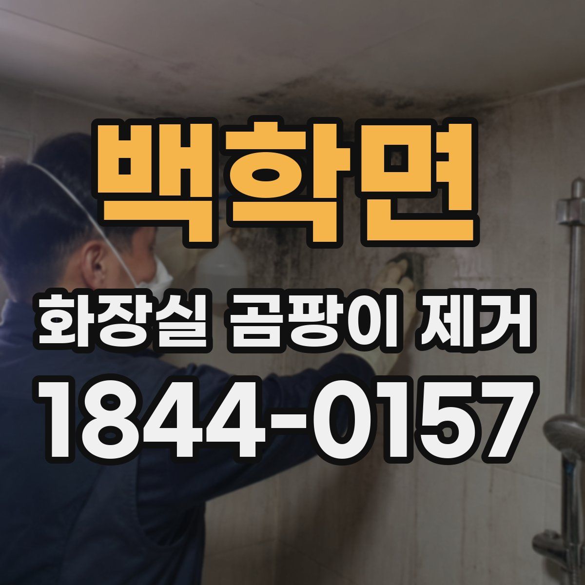 백학면 화장실 곰팡이 제거