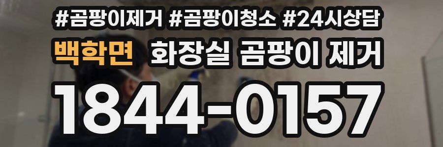백학면 화장실 곰팡이 제거