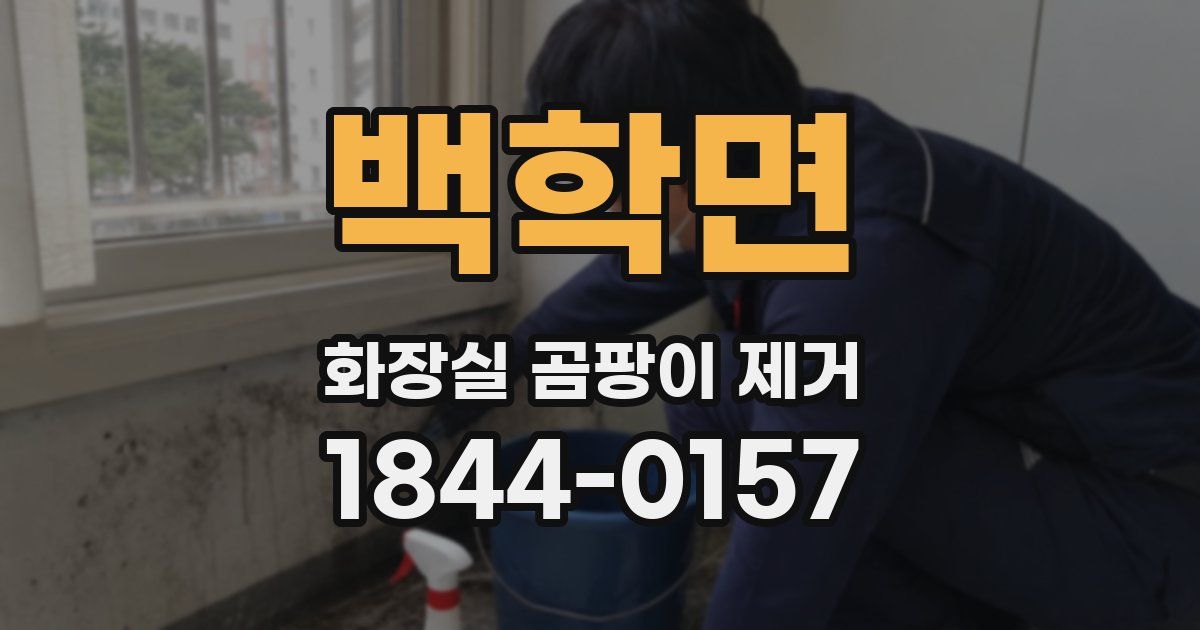 백학면 화장실 곰팡이 제거