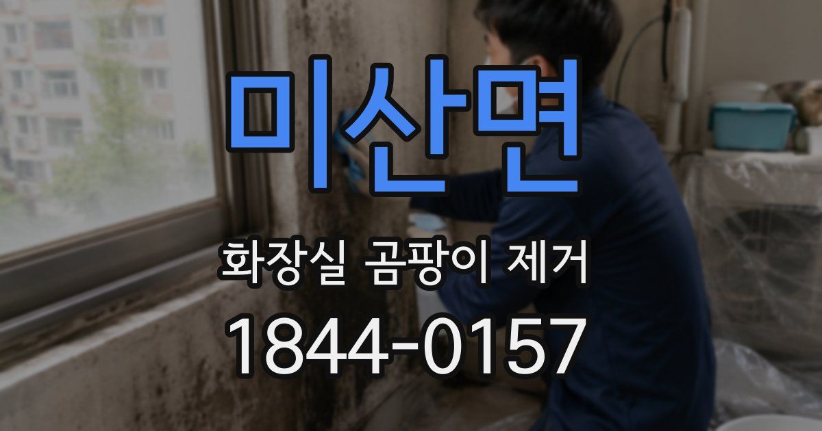 미산면 화장실 곰팡이 제거