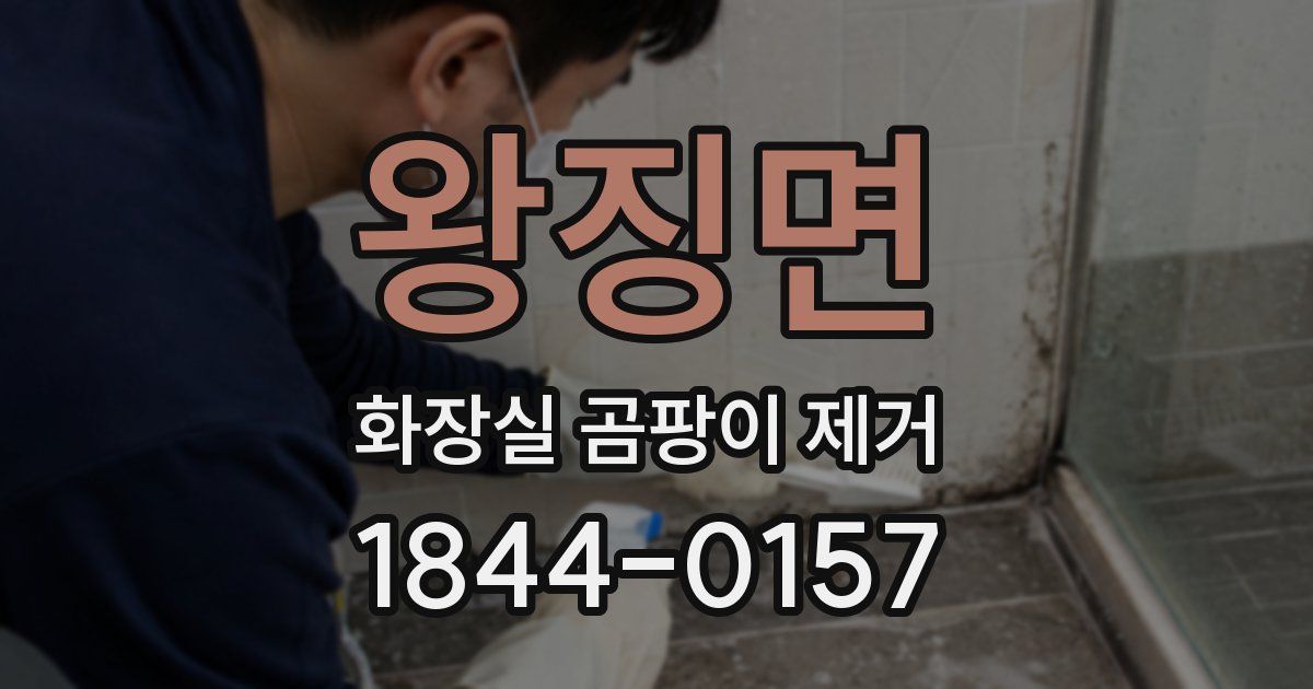왕징면 화장실 곰팡이 제거