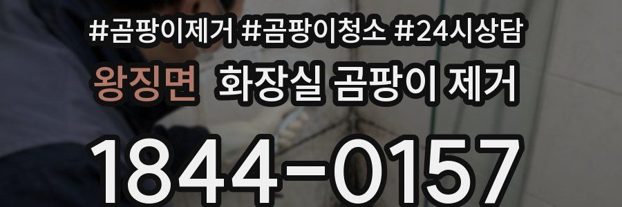 왕징면 화장실 곰팡이 제거