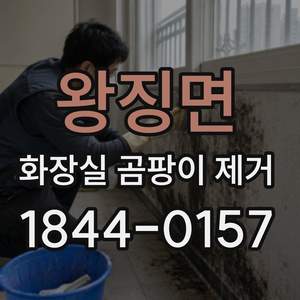 왕징면 화장실 곰팡이 제거