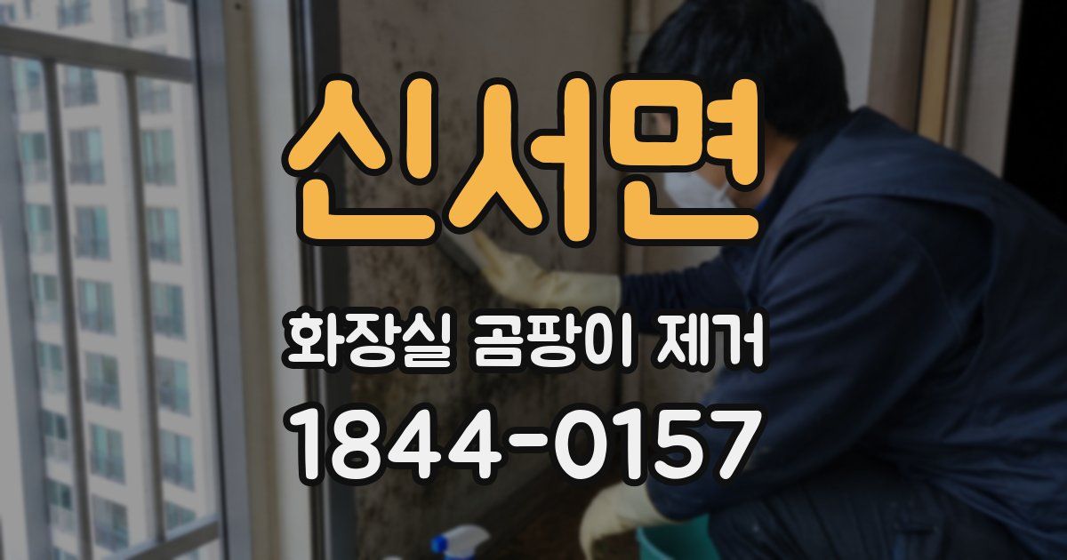 신서면 화장실 곰팡이 제거