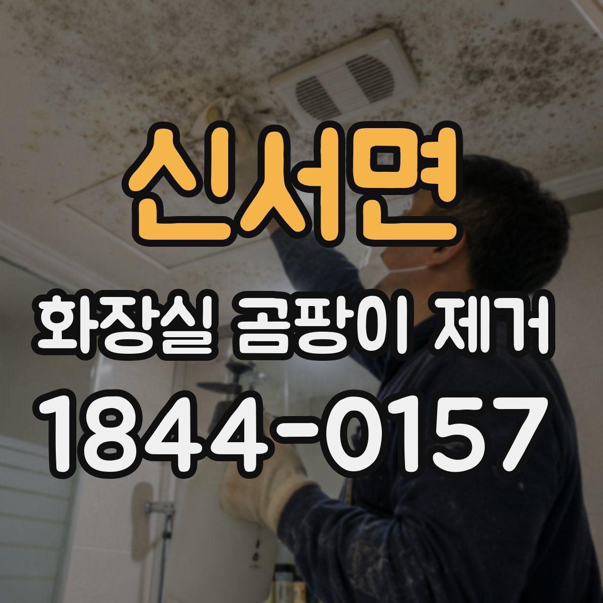 신서면 화장실 곰팡이 제거