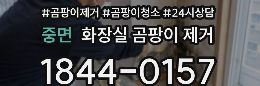 중면 화장실 곰팡이 제거