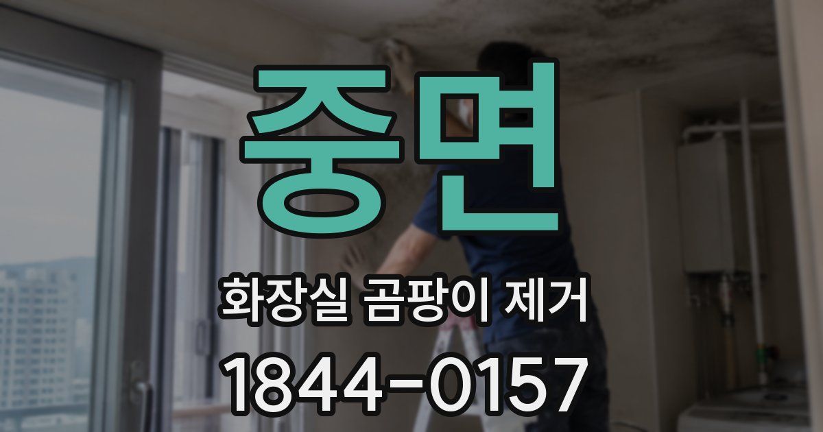 중면 화장실 곰팡이 제거