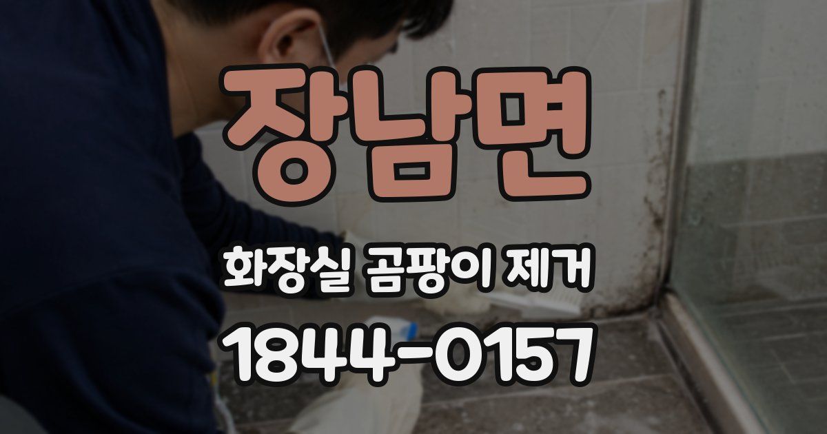 장남면 화장실 곰팡이 제거