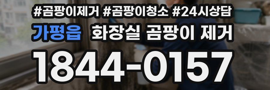 가평읍 화장실 곰팡이 제거